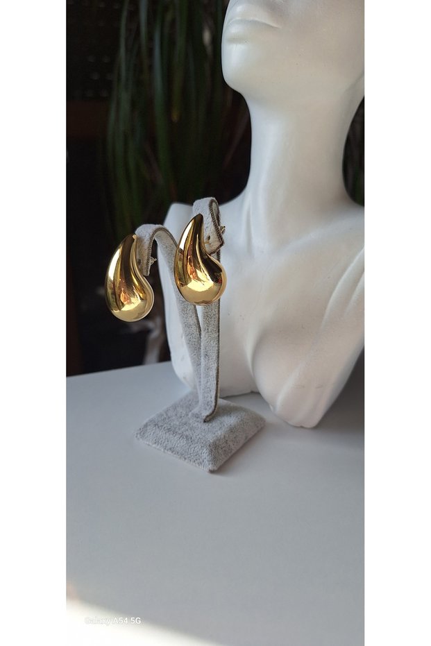 Shesra Curved Plate Drop Model Earrings