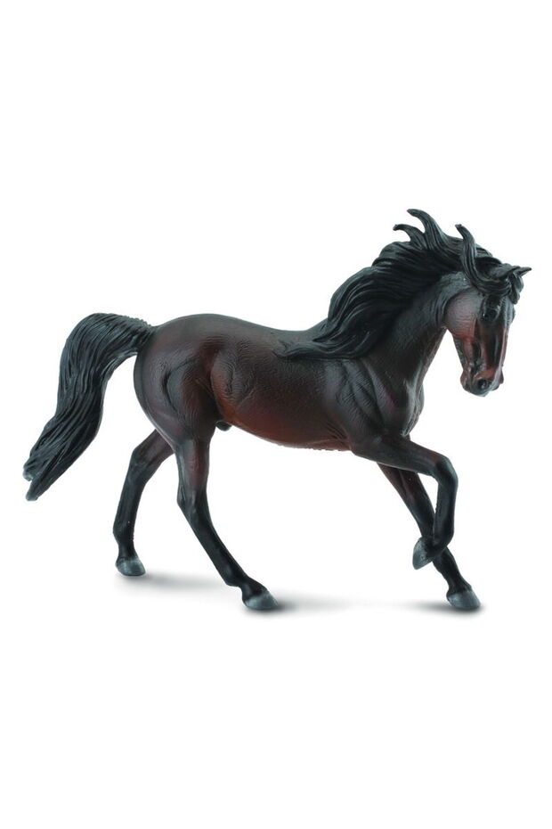 DISTRIBUȚIE ENDULUI - 1