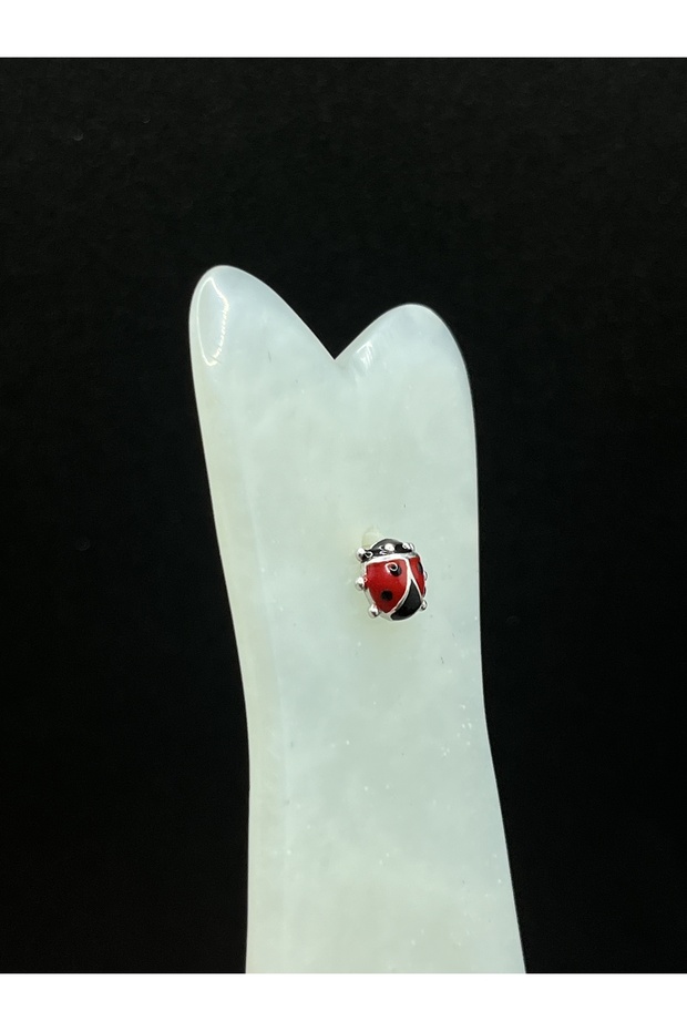 Uğur böceği Gümüş Küpe - 2