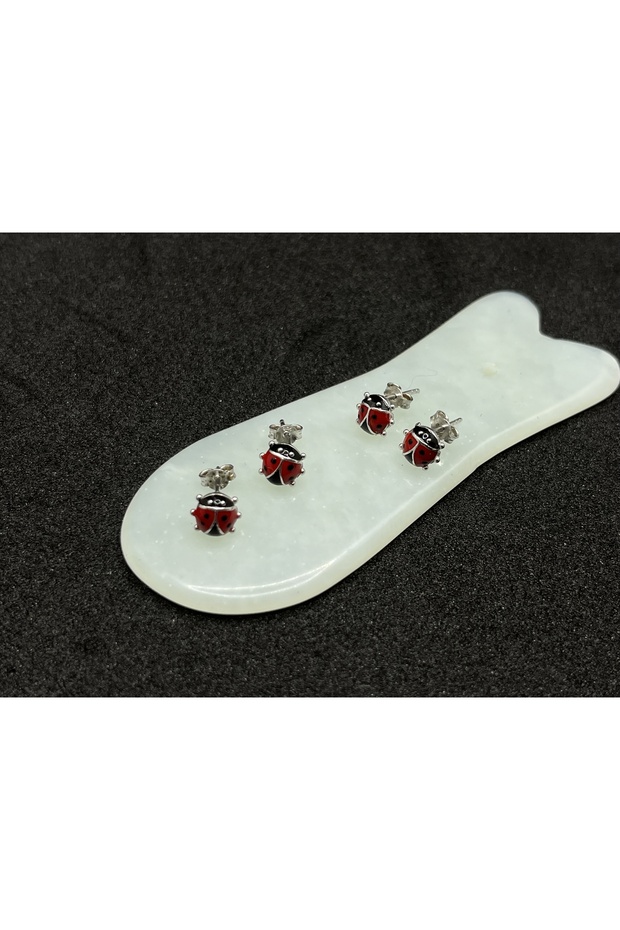 Uğur böceği Gümüş Küpe - 5