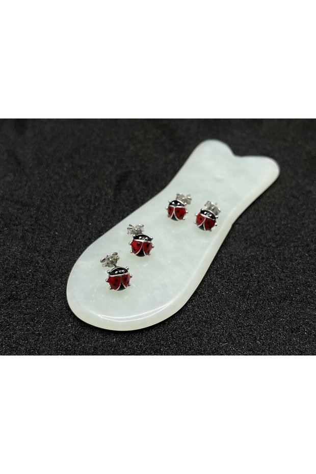 Uğur böceği Gümüş Küpe - 3