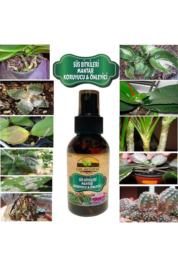 Süs Bitkileri Mantar Koruyucu & Önleyici (orkide, Çiçekli &çiçeksiz, Kaktüs&sukulent) 100 Ml - 2