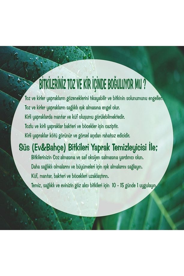 Süs Bitkileri Yaprak Temizleyici Koruyucu (BİT,MANTAR VB)500ml Spreysiz Yedek Şişe - 7