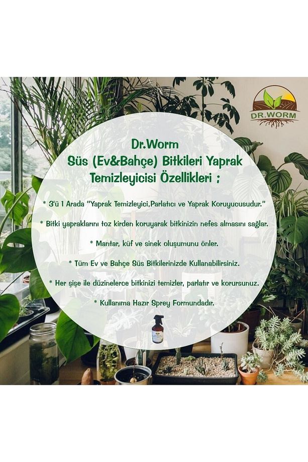 Süs Bitkileri Yaprak Temizleyici Koruyucu (BİT,MANTAR VB)500ml Spreysiz Yedek Şişe - 5