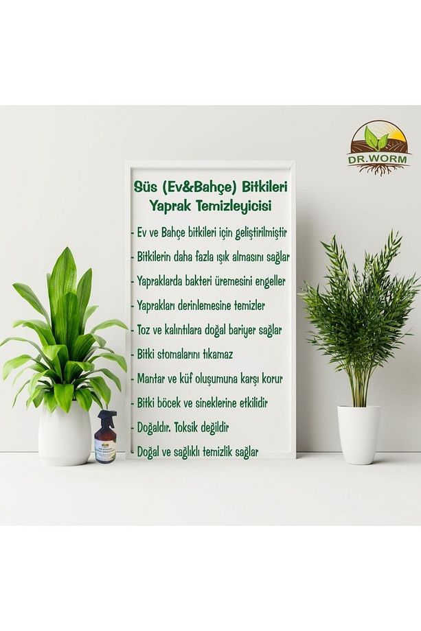 Süs Bitkileri Yaprak Temizleyici Koruyucu (BİT,MANTAR VB)500ml Spreysiz Yedek Şişe - 6