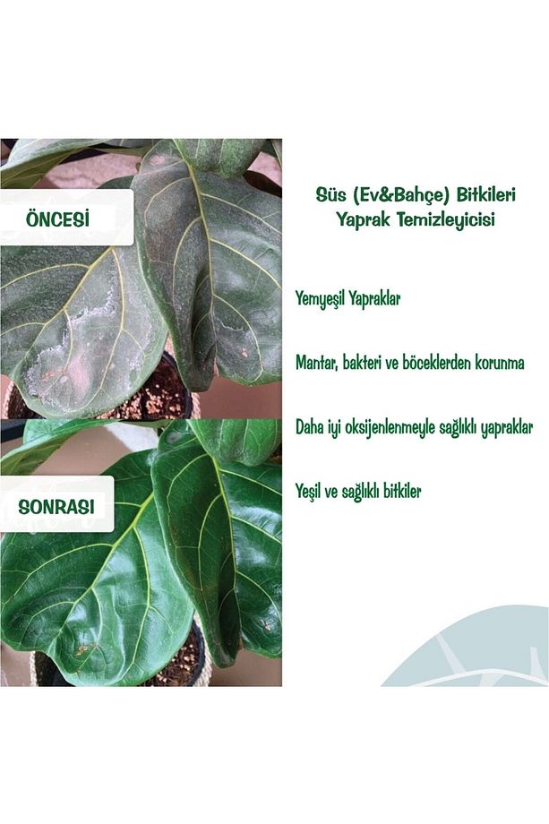 Süs Bitkileri Yaprak Temizleyici Koruyucu (BİT,MANTAR VB)500ml Spreysiz Yedek Şişe - 8