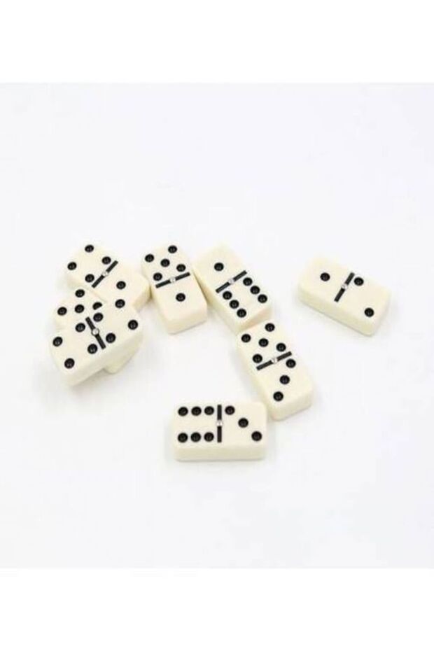 Çantalı Domino Oyunu - 4