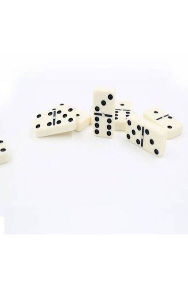 Çantalı Domino Oyunu - 3