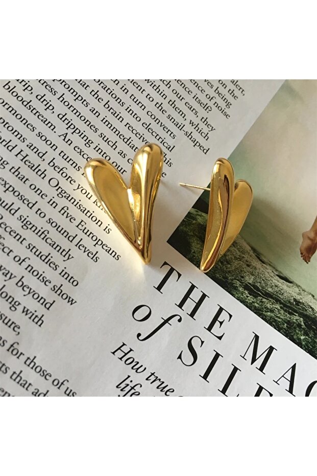 Çelik kalp küpe - 2