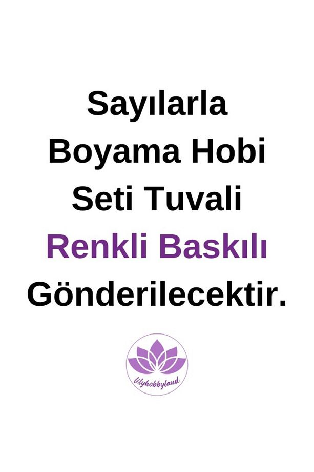 Renkli Baskılı Sayılarla Boyama Hobi Seti (Çerçeveli) 50x65 cm: Vazodaki Çiçekler - 3