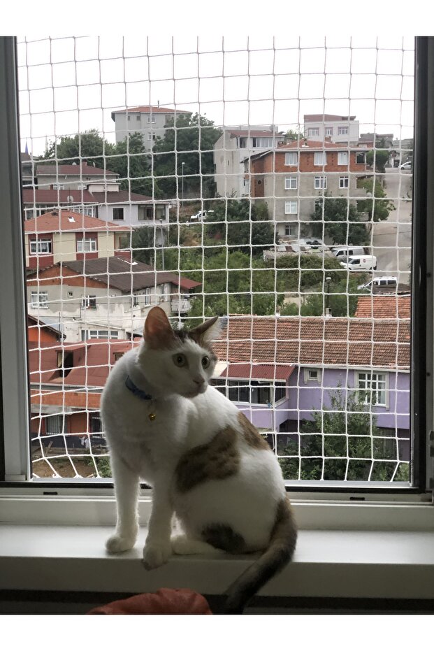 Türkiye'nin İlk ve Tek Açılır Kapanır Kedi Koruma Filesi - 3