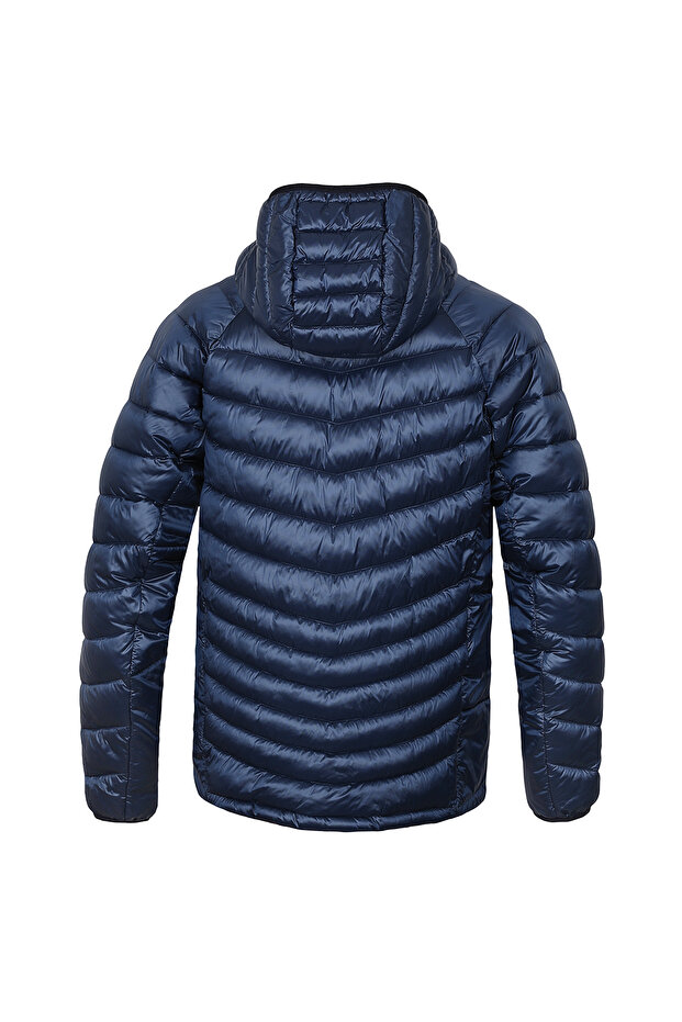 Dolph Navy Stripe - 2