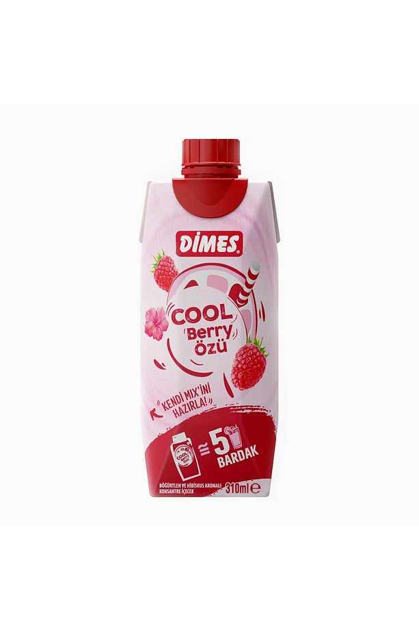 Cool Berry 310 ml Meyve Suyu 1 ADET - 1