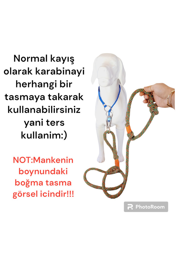 Köpek Kayışı Ve Boğma Eğitim Tasma Tek Ip Üzerinde (orta Irk Içindir) - 6
