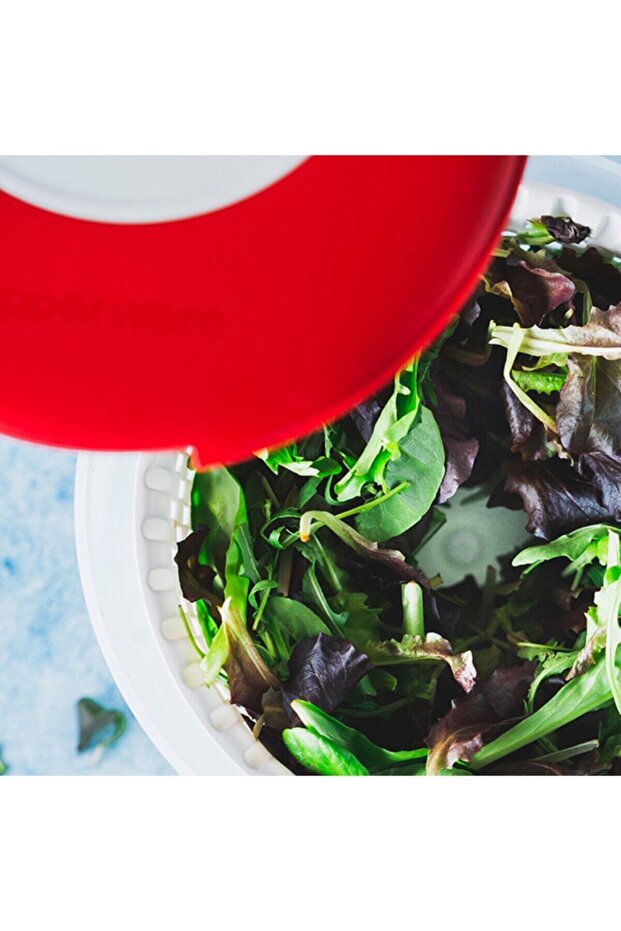 Modern Salatacı Kırmızı - 5