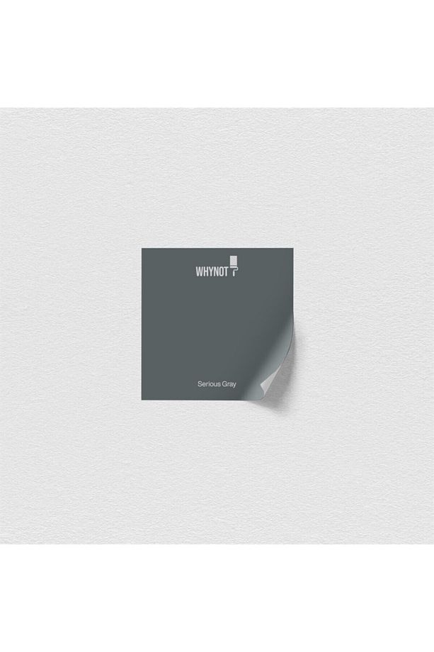 Duvar Boyası Serious Gray 1,5LT - 4