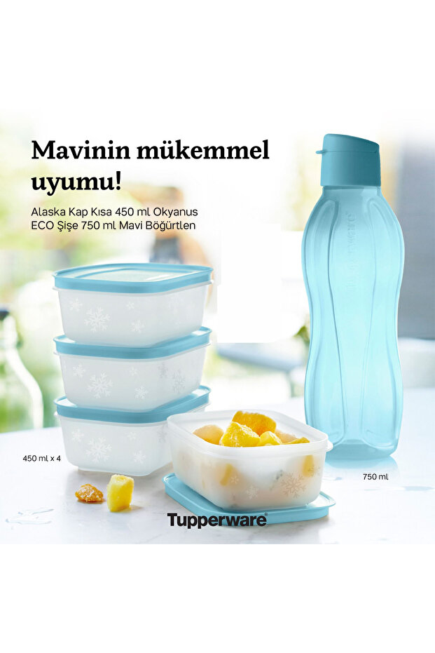 Alaska 450 ml 4 lü ve Eko Şişe Suluk 750 ml Set - 1