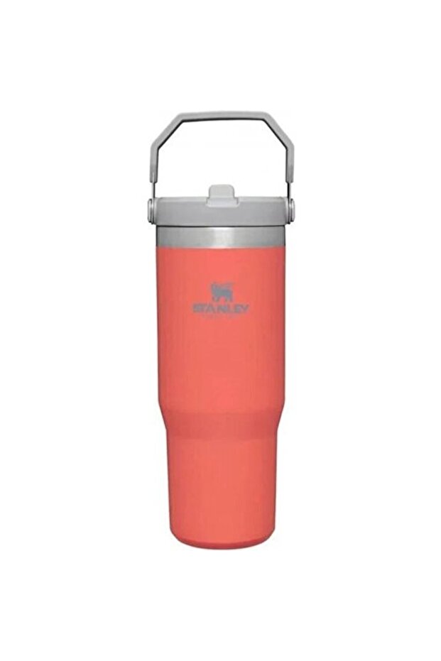 The Iceflow Flip Straw Pipetli Termos Bardak 0,89 Lt - 5