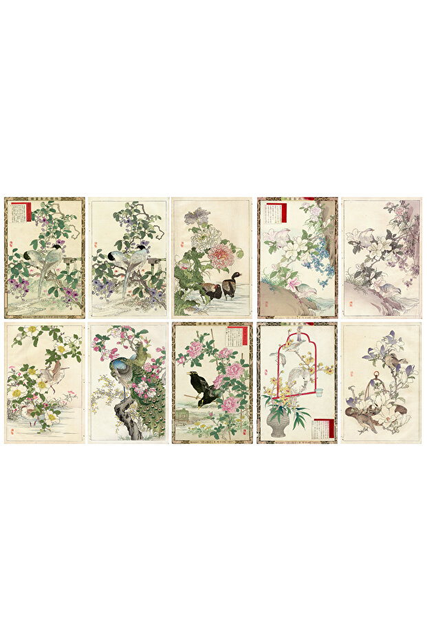 Japanese Drawings Themed Postcard Set (10x15 cm 10 pieces)