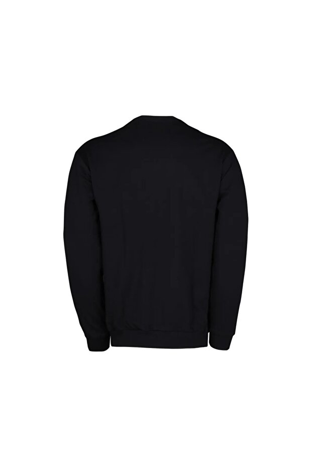 2W M-SN75 BASIC C NECK SWEATSHIRT 2PR 100003019STD - 2