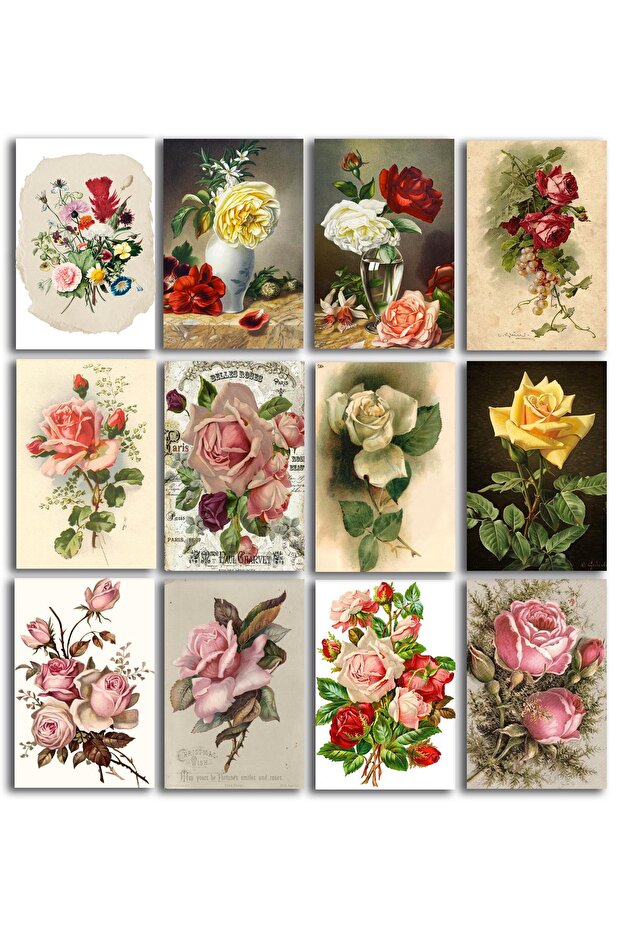 Rose Themed Postcard Set (10x15 cm 12 pieces)