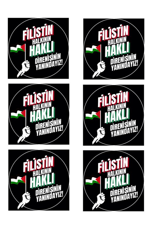 Palestine Themed Philosopher Sticker - Paper
