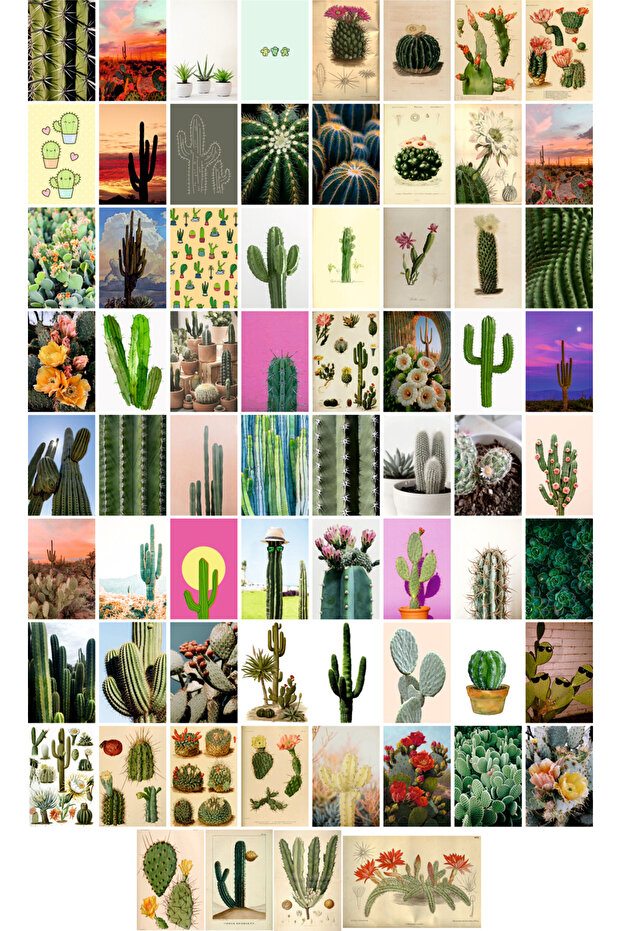 Cactus Themed Postcard Set (69 pieces of 10x15 cm)