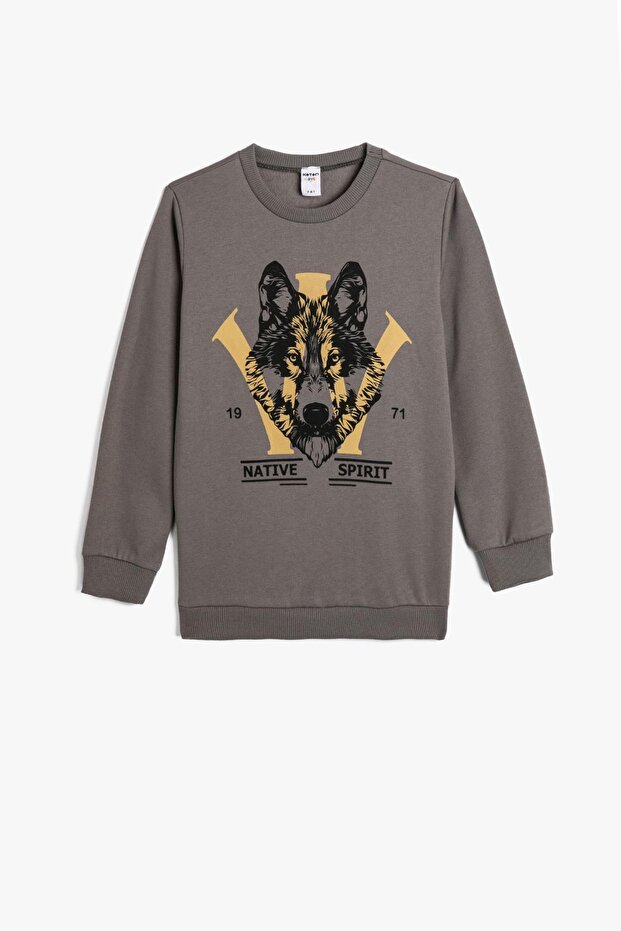 Boy Gray Sweatshirt - 1