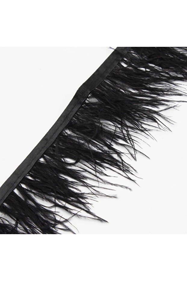 9.5 Meters Ostrich Feather ( Width:10-11 cm)