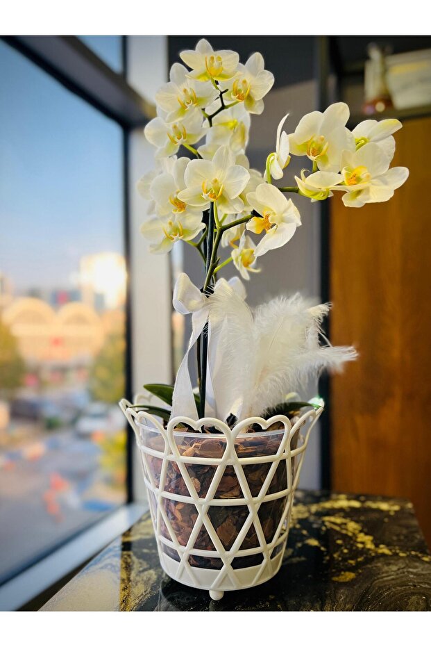 Kalpli Orkide Saksısı - 1