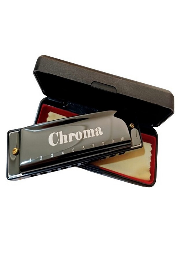 10 Delikli Mızıka Professional Harmonica DO (C) - 1