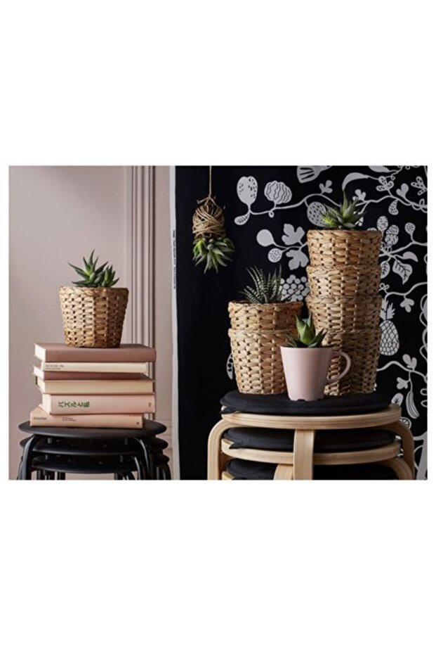 FRIDFULL SAKSI 12 CM - 5