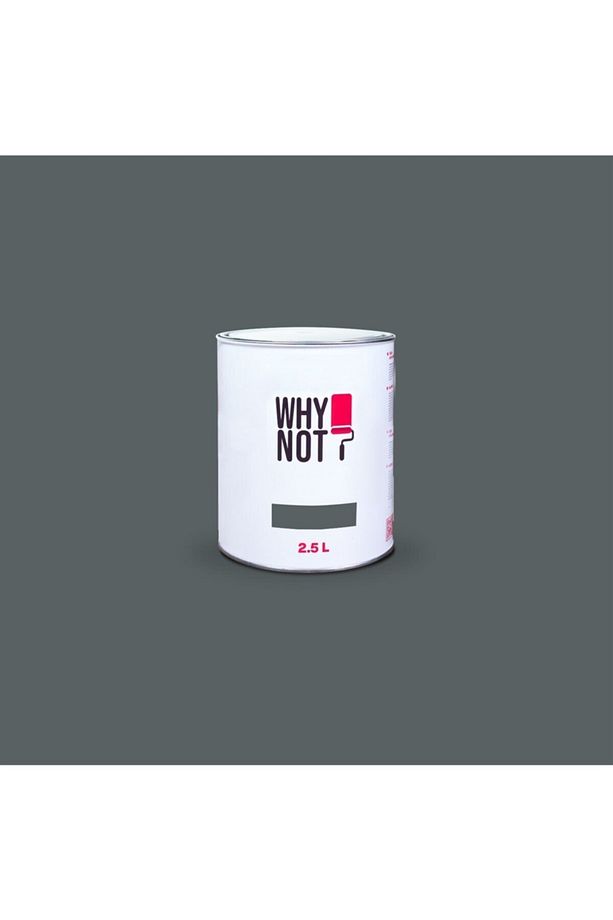 Duvar Boyası Serious Gray 1,5LT - 2