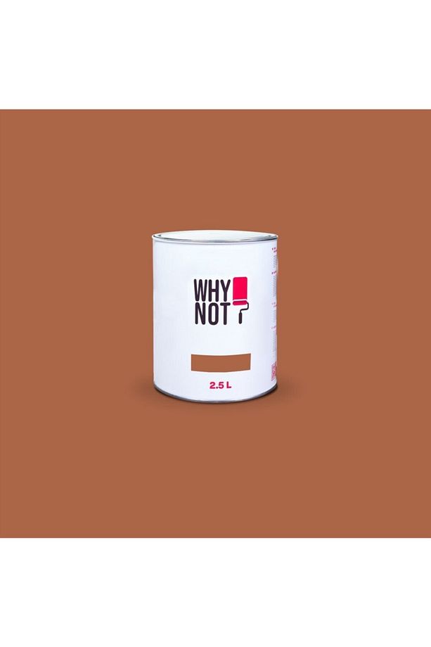 Whynot? Duvar Boyası Warm Terracotta - 2