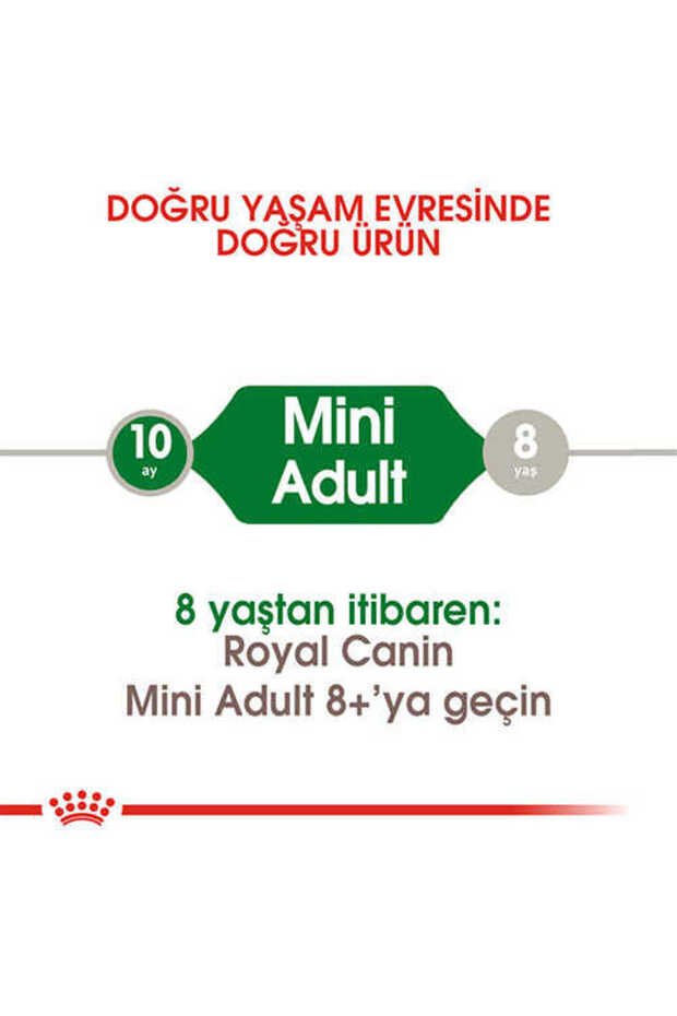 Mini Adult Küçük Irk Yetişkin Köpek Maması 8 Kg - Farmapets - 8