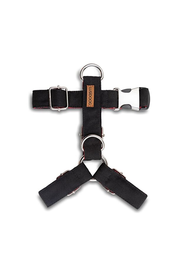 Köpek Tasma Seti, Siyah Köpek Göğüs Tasması ve Köpek Gezdirme Halatı - 2