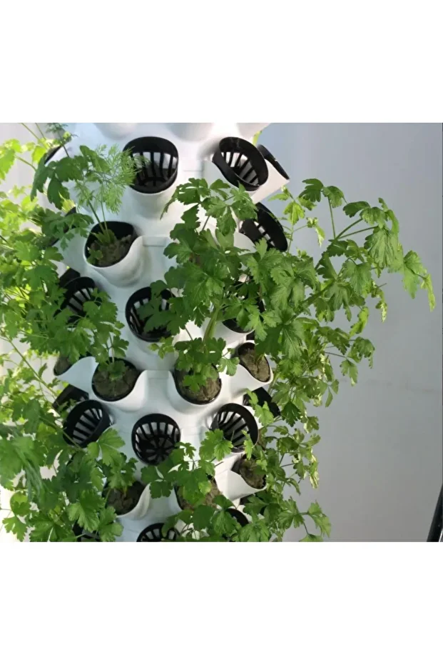 Agriveco Dikey Tarım - Topraksız Tarım Kule Sistemi - 80 Bitkilik - 3