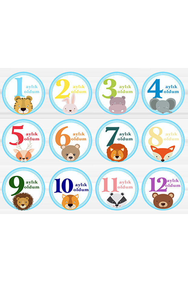 Monthly Baby Labels (12 pieces, 14 cm in diameter, with adhesive backing)