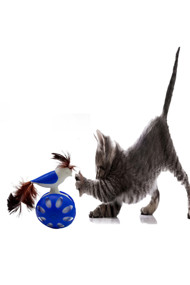 WHEELED UNBLEAKING BIRD CAT TOY BLUE 1 PIECE