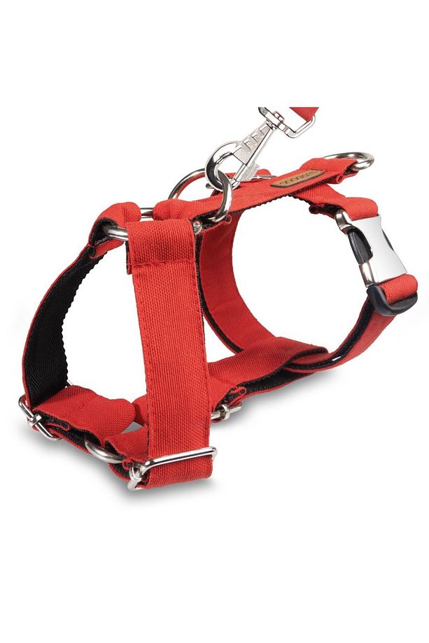 Köpek Tasma Seti Kırmızı Köpek Göğüs Tasması Köpek Gezdirme Halatı - 3
