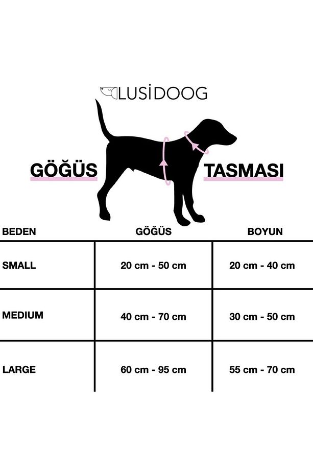 Köpek Tasma Seti Kırmızı Köpek Göğüs Tasması Köpek Gezdirme Halatı - 5