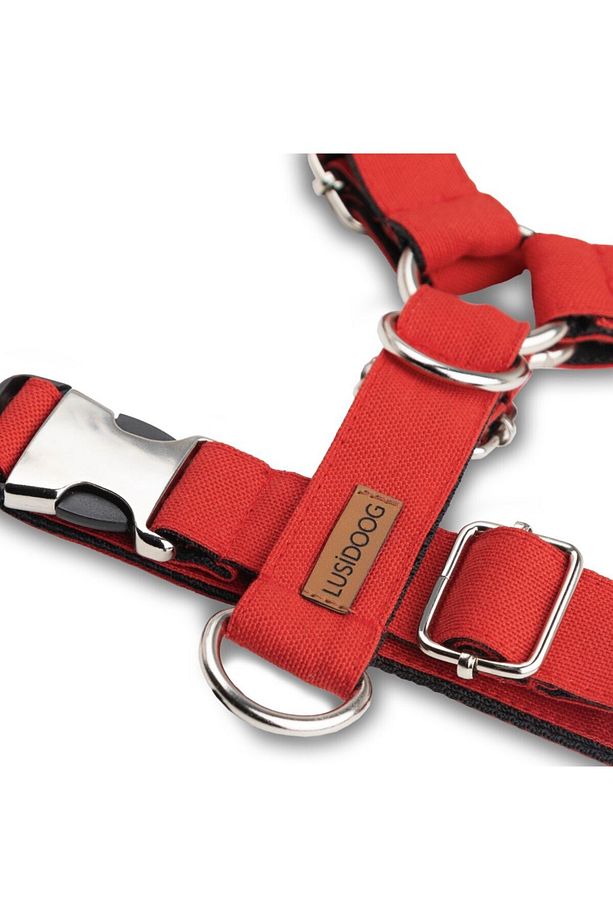 Köpek Tasma Seti Kırmızı Köpek Göğüs Tasması Köpek Gezdirme Halatı - 4