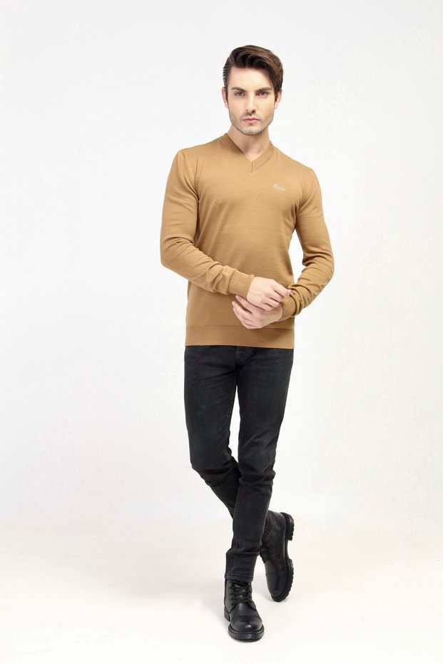 V Yaka Regular Fit Triko Kazak