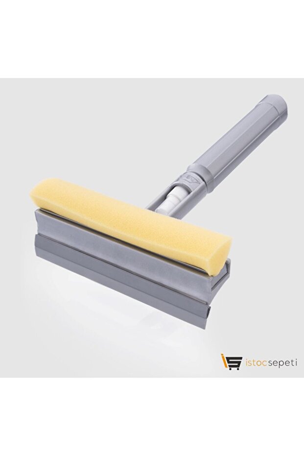 FLORA CAMSİL SÜNGERİ
