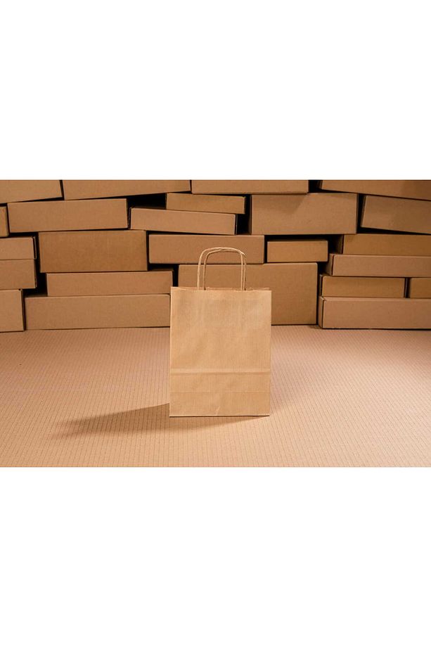 Kraft Kağıt Hediye Poşeti/çantası Burgu Saplı 100 Adet 18x8x24 - 6