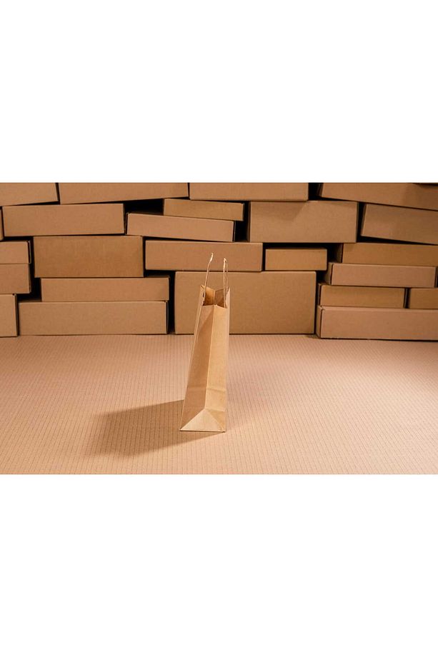 Kraft Kağıt Hediye Poşeti/çantası Burgu Saplı 100 Adet 18x8x24 - 5