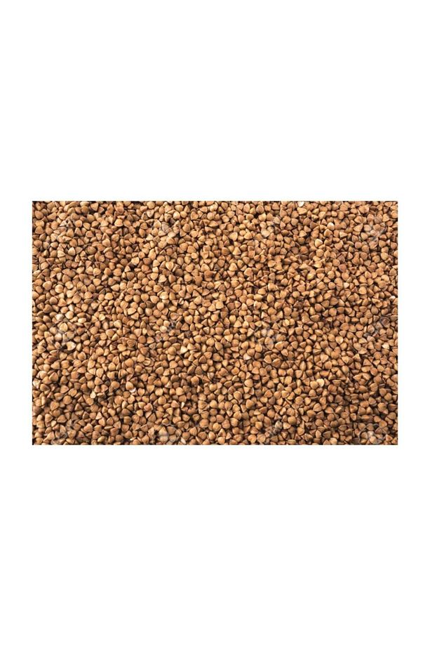Kara Buğday 5 Kg Karabuğday Greçka Buğday Tohumu Karabuğday Tohumu Tohumluk Karabuğday - 2