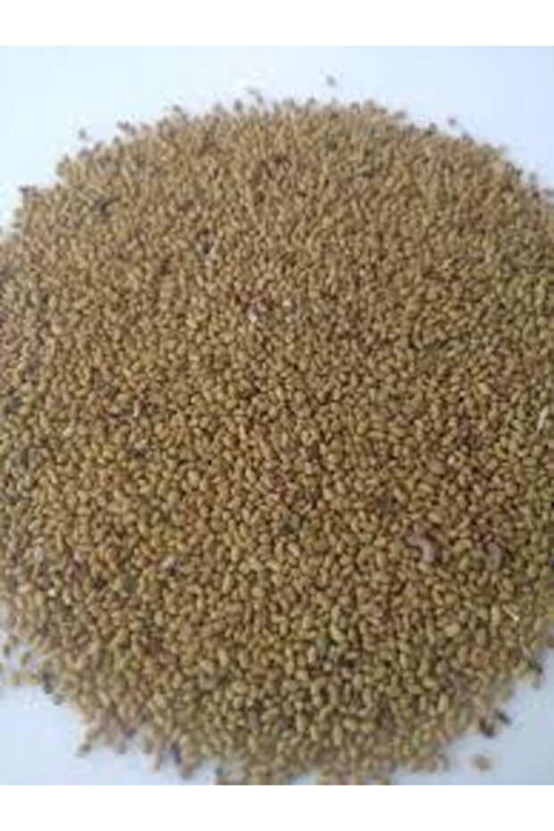 Dökme Yonca Tohumu 1 kg - 2