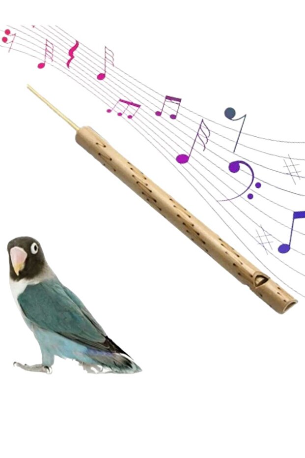 Thailand Bamboo Bird And Duck Tongue Whistle
