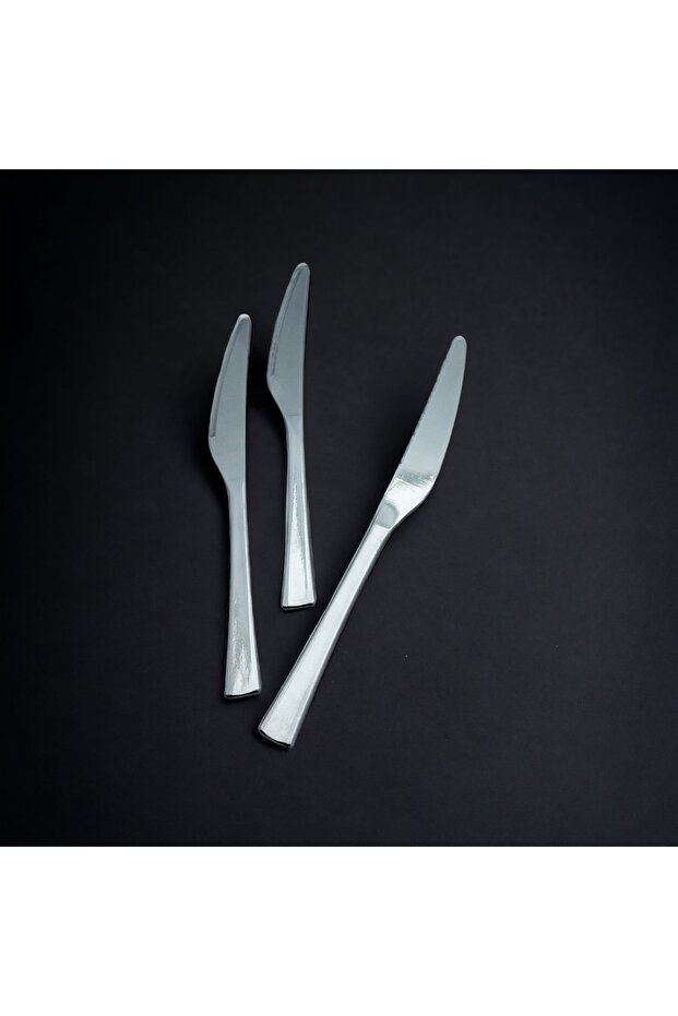 12-Piece Dining Knife Flat Model - 2